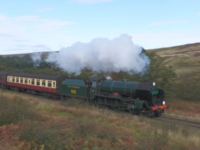Repton