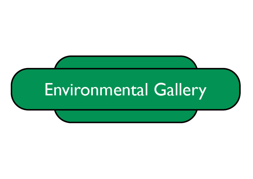 Environmental Gallery