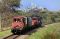 Brake Van Rides