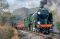 Repton