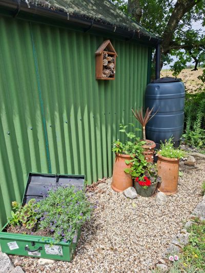Bug Hotel